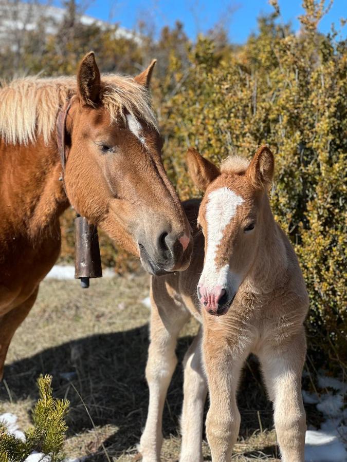 Fonda Peremiquel Hotel Castellar De N'Hug Eksteriør billede